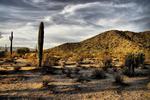 photo thumbnail #1