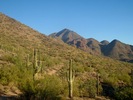 photo thumbnail #4