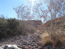 photo thumbnail #5