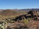 photo thumbnail #2