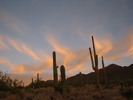 photo thumbnail #8