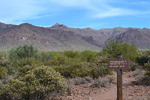 photo thumbnail #2