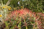 photo thumbnail #15