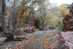 photo thumbnail #7