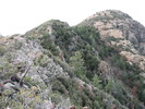 photo thumbnail #13