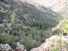 photo thumbnail #15