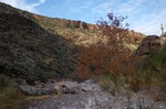 photo thumbnail #2