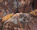 photo thumbnail #4