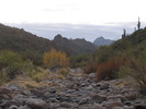 photo thumbnail #1