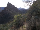 photo thumbnail #2