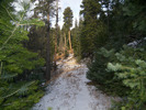 photo thumbnail #2