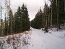 photo thumbnail #4