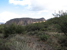 photo thumbnail #5