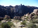 photo thumbnail #5