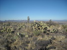 photo thumbnail #3
