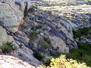 photo thumbnail #2