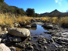 photo thumbnail #13
