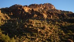 photo thumbnail #2