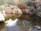photo thumbnail #5