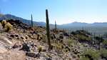photo thumbnail #8