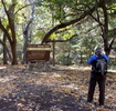 photo thumbnail #8