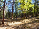 photo thumbnail #11