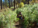 photo thumbnail #13