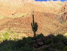 photo thumbnail #7