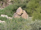 photo thumbnail #4