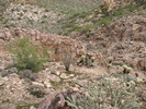 photo thumbnail #11