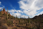 photo thumbnail #10