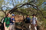 photo thumbnail #11