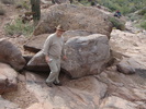 photo thumbnail #10