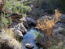 photo thumbnail #11
