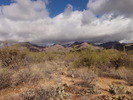 photo thumbnail #2