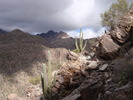 photo thumbnail #8