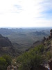 photo thumbnail #10