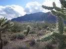 photo thumbnail #4