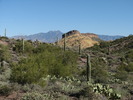 photo thumbnail #5