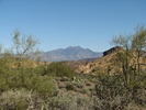 photo thumbnail #9