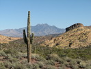 photo thumbnail #14