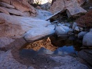 photo thumbnail #10
