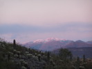 photo thumbnail #1