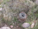 photo thumbnail #4
