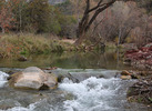 photo thumbnail #1