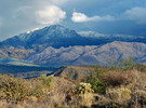 photo thumbnail #7