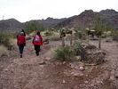photo thumbnail #2