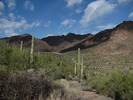 photo thumbnail #13