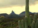 photo thumbnail #6
