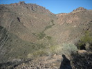 photo thumbnail #1